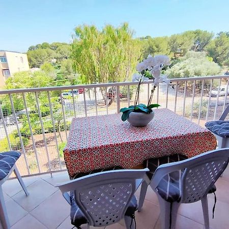 Le Pradet 50M De La Plage T2 Tout Confort Lesclesdenicole Exterior photo